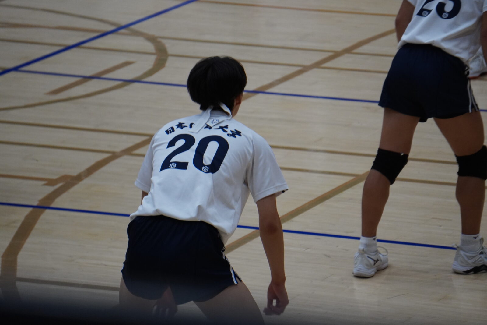 インターハイ国体日本体育大学バレーボール 日本体育大学 男子バレーボール部