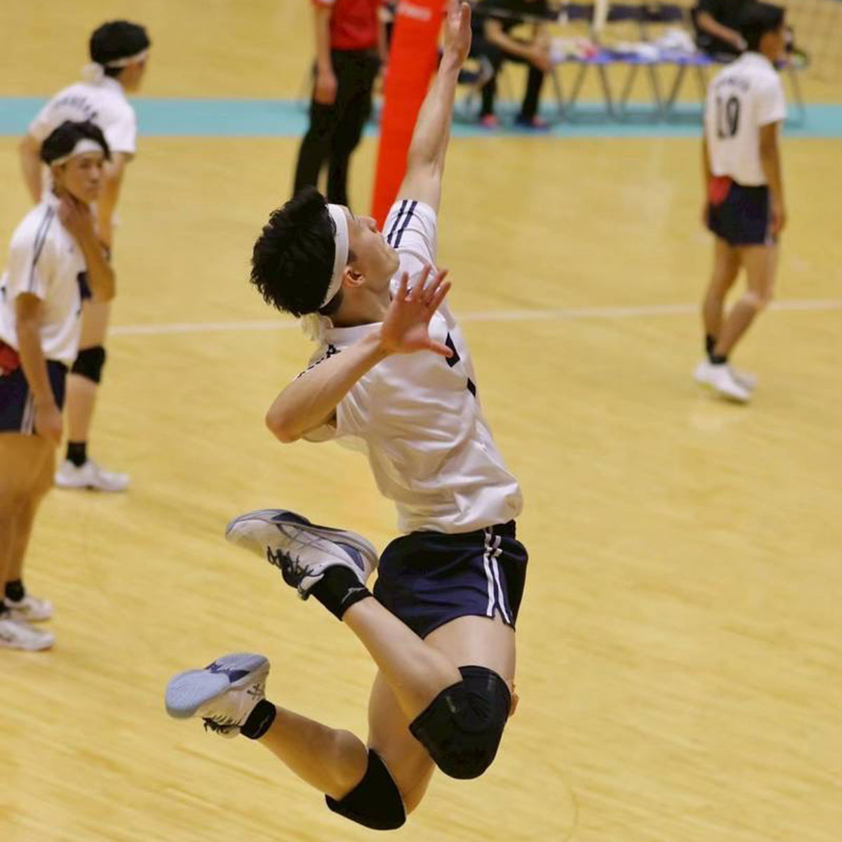 日本体育大学9人制バレーボール01